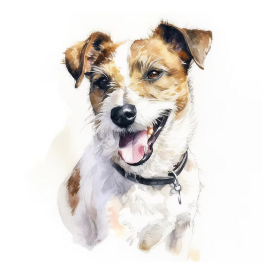 Placa Jack Russell - Várias