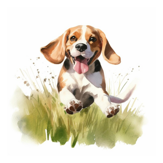 Placa Beagle - Várias