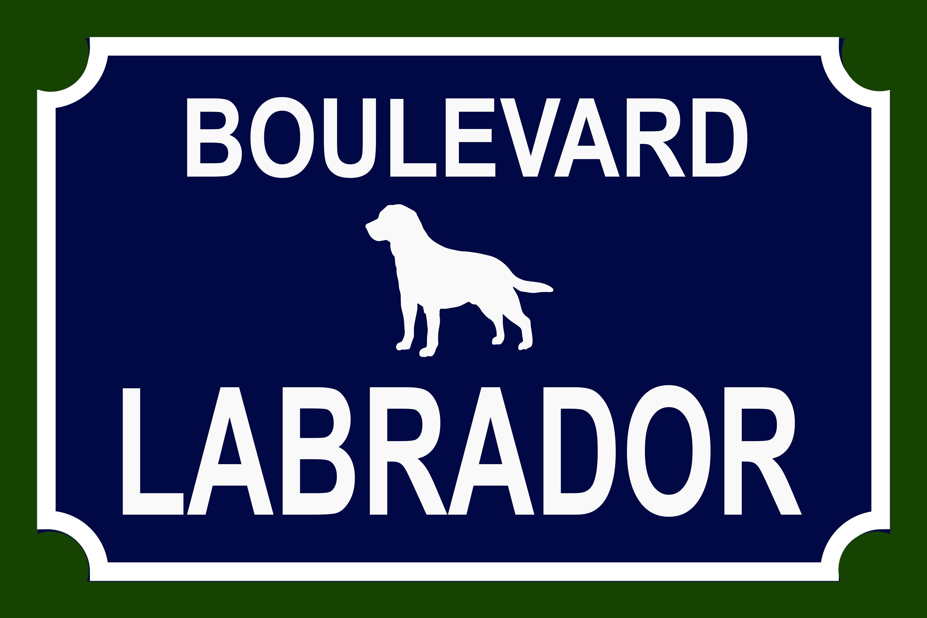 Placa Labrador - Várias