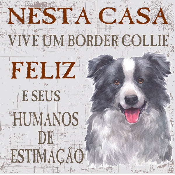 Placa Border Collie - Várias