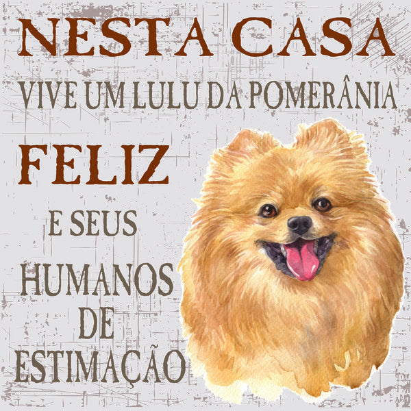Placa Lulu da Pomerânia e Spitz  - Várias