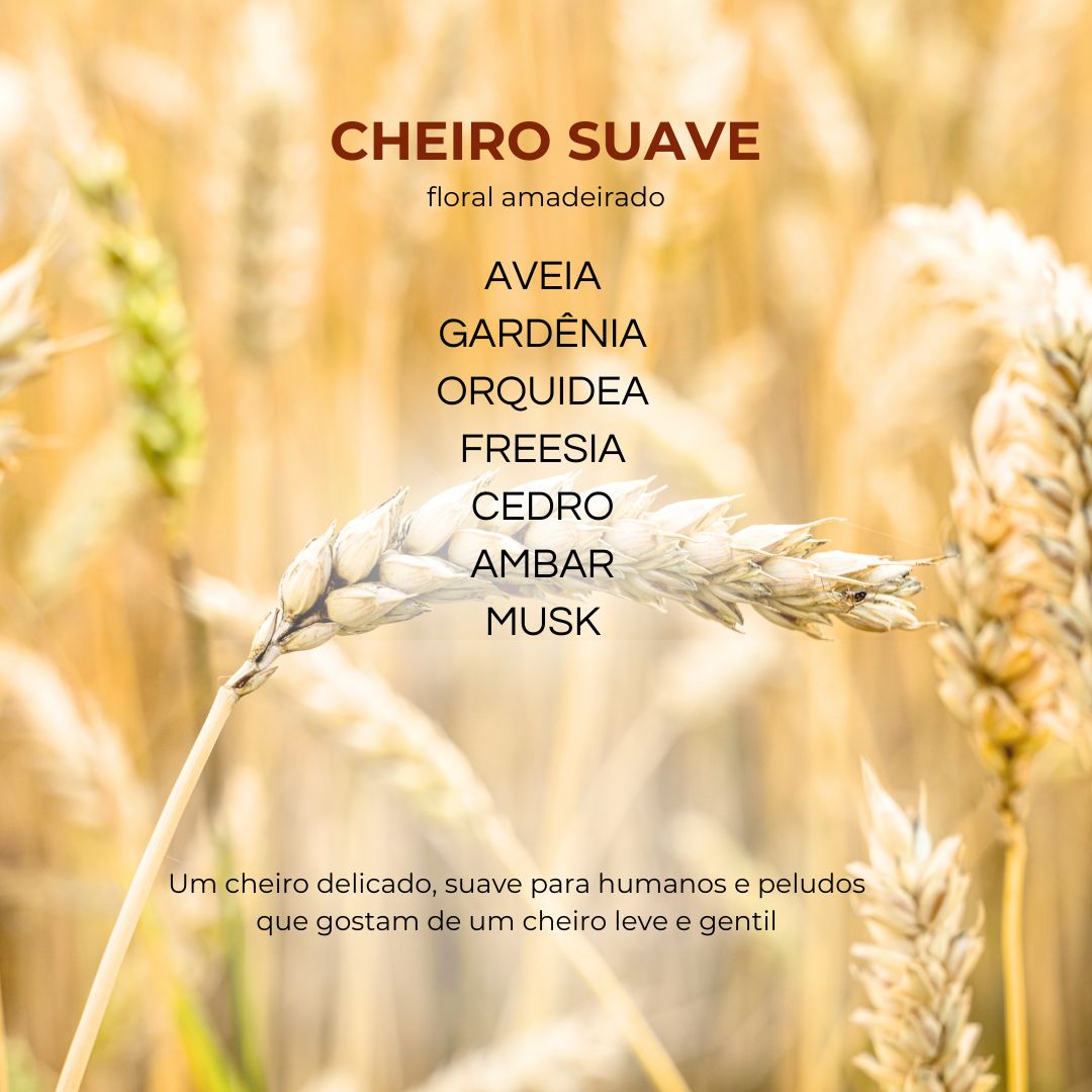 COLÔNIA AVEIA ORGÂNICA