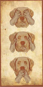 Placa Labrador - Várias