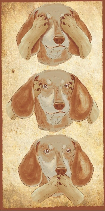 Placa  Dachshund- Várias