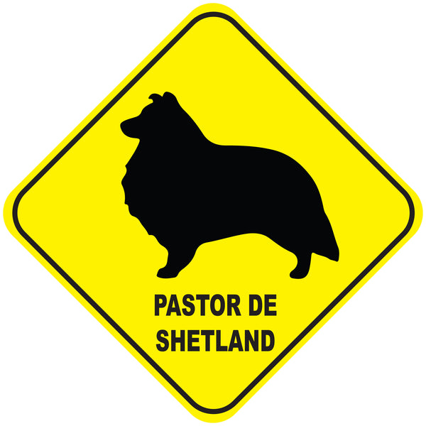 Placa Pastor de Shetland - Várias