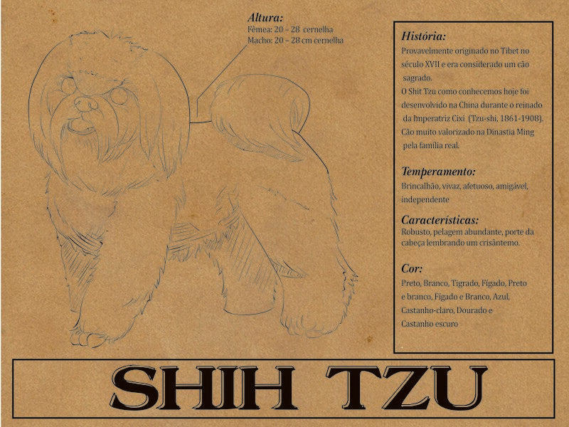 Placa Shih Tzu - Várias