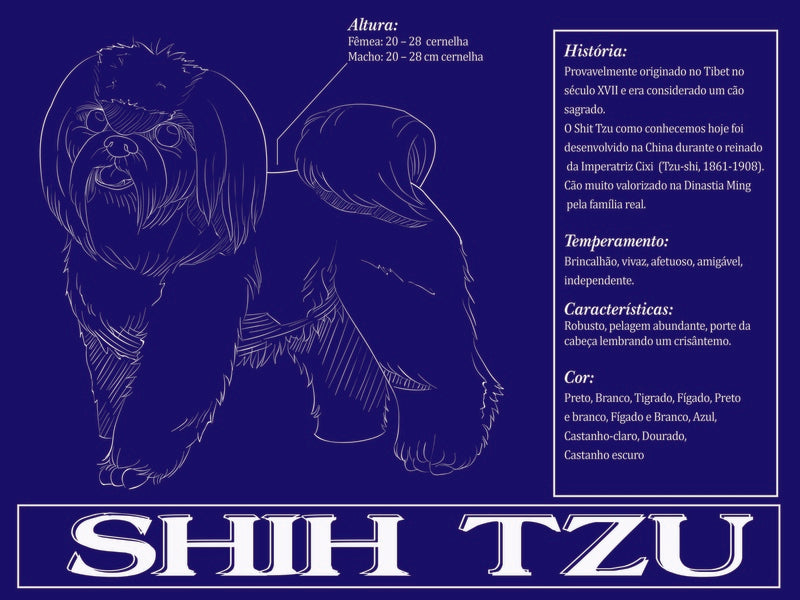Placa Shih Tzu - Várias