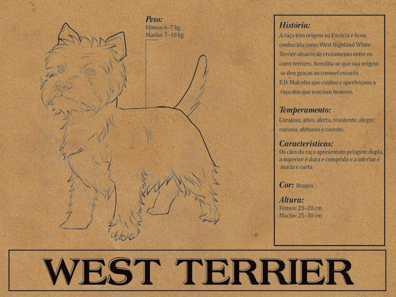 Placa West Terrier - Várias