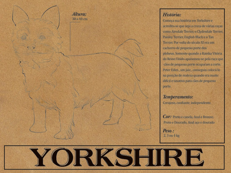 Placa Yorkshire - Várias