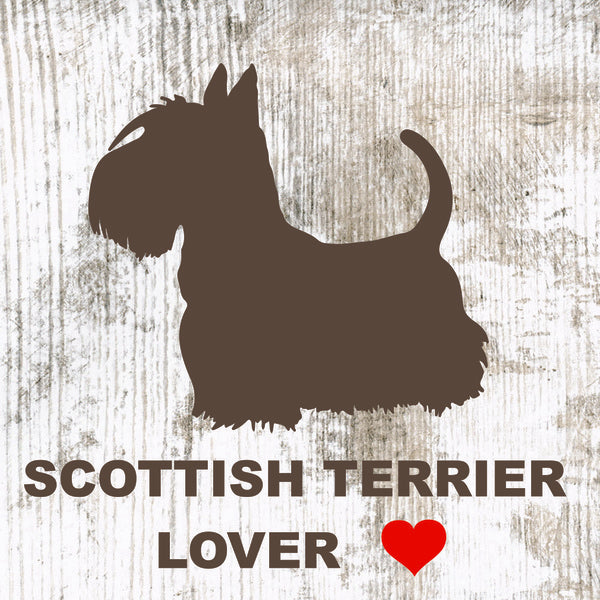 Placa  Scottish Terrier- Várias