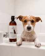 SHAMPOO HIDRATANTE