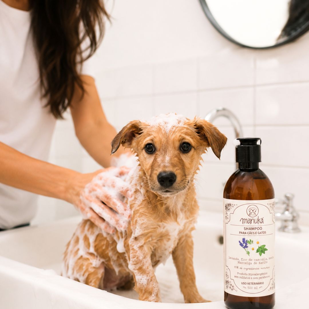 SHAMPOO LAVANDA | Pele Normal a Seca