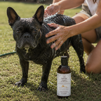 SHAMPOO AVEIA ORGÂNICA | Pele Sensível