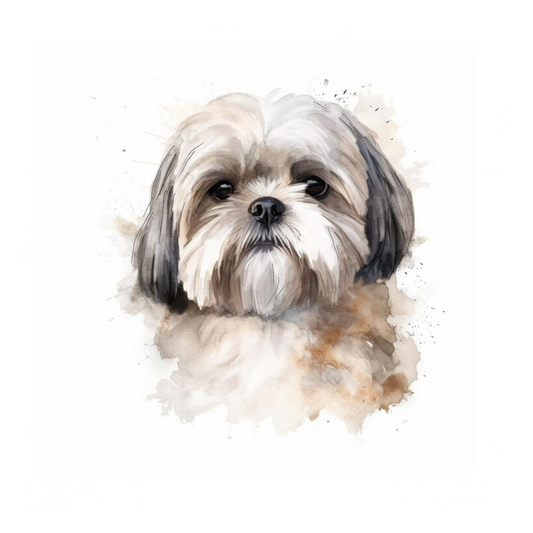 Placa Shih Tzu - Várias