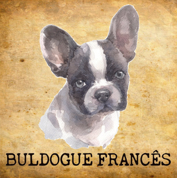 Placa Buldogue Francês - Várias