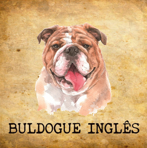 Placa Buldogue Inglês - Várias