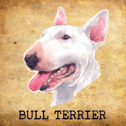 Placa Bull Terrier - Várias