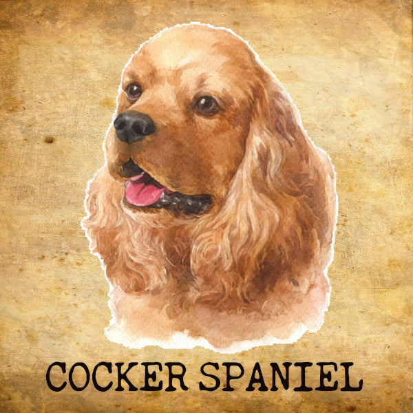 Placa Cocker Spaniel - Várias
