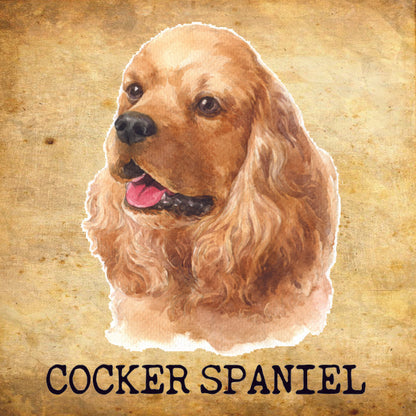 Placa Cocker Spaniel - Várias