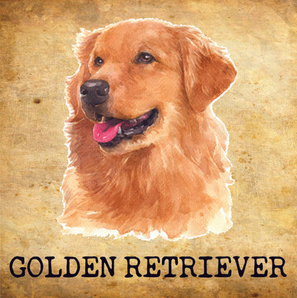 Placa Golden Retriever - Várias