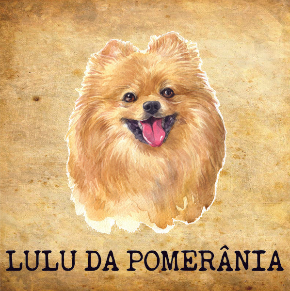 Placa Lulu da Pomerânia e Spitz  - Várias