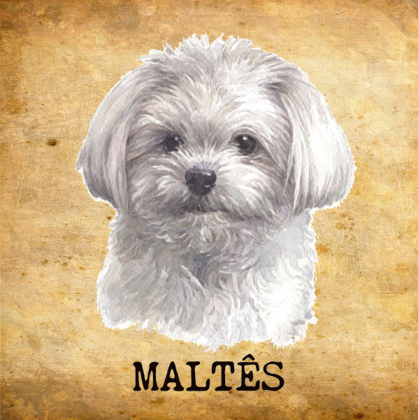 Placa Maltês - Várias