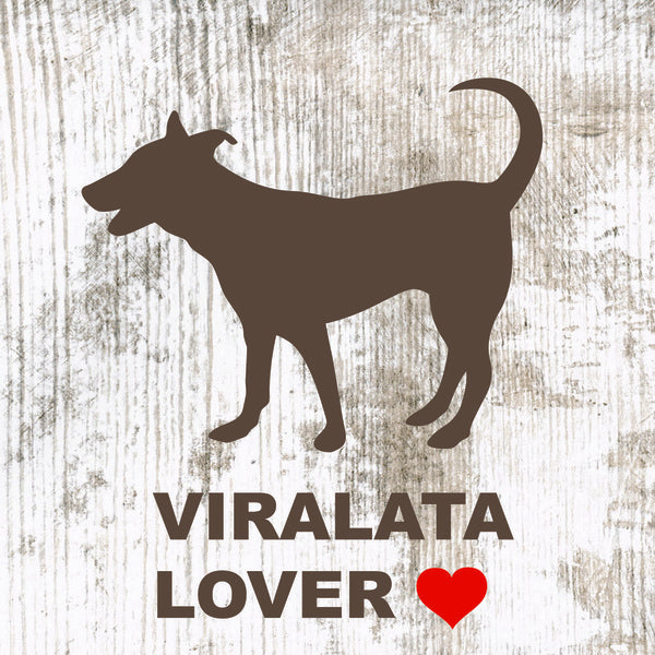 Placa  Viralata - Várias