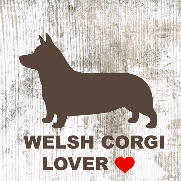 Placa Corgi - Várias