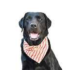 Bandana Fazenda