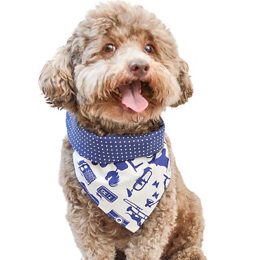 Bandana Urban