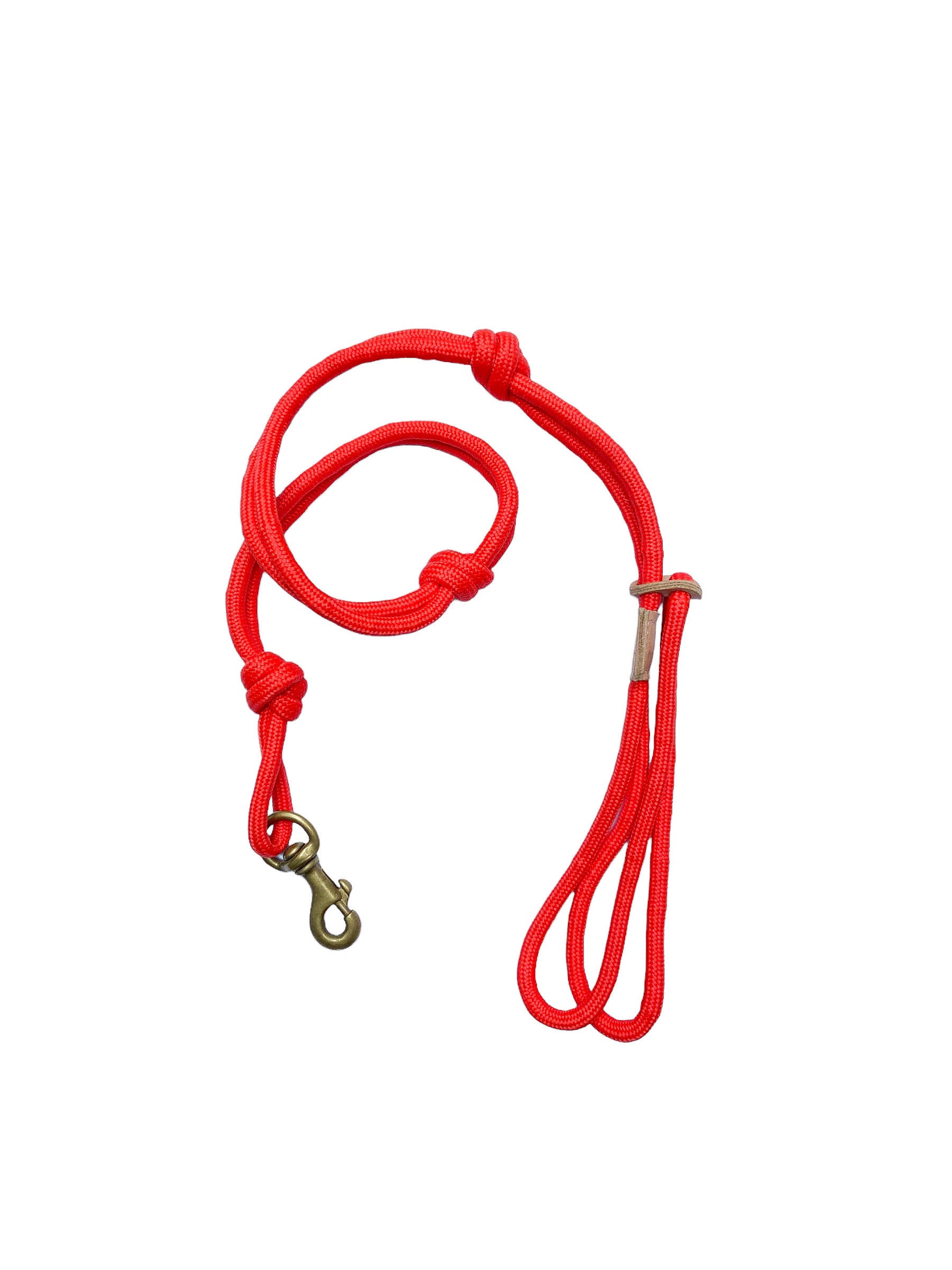 Guia Minimalista Coral